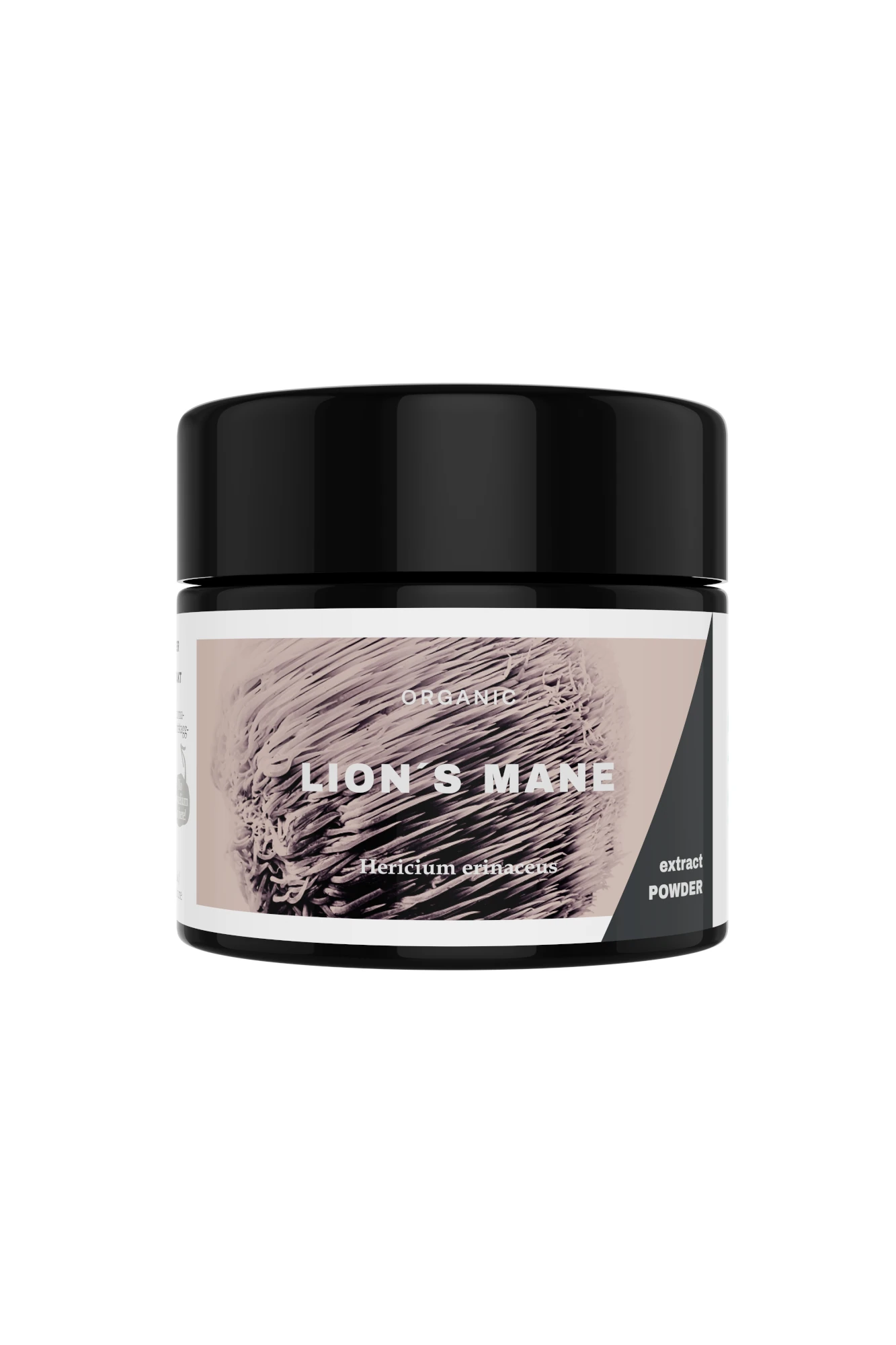 LionsMane_ExtractPowder